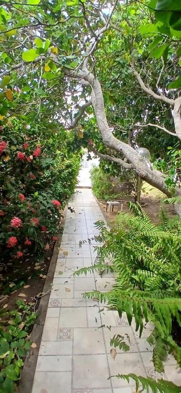 a stone path in a garden with a tree overhead at Pousada 48 Graus - Caldas do Jorro BA in Poço Redondo