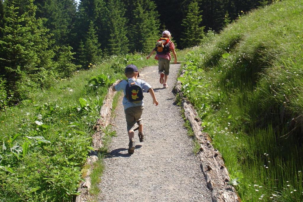 Hosté ubytování Ferienbauernhof Schneider