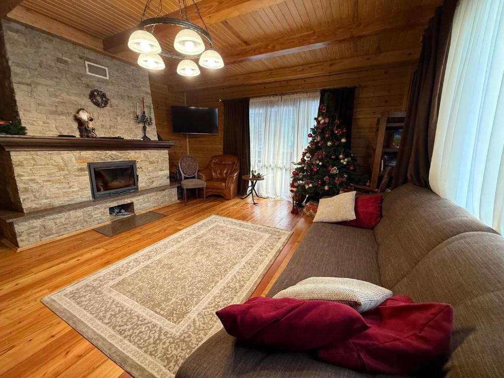 a living room with a christmas tree and a couch at WOOD house in Skhidnitsa