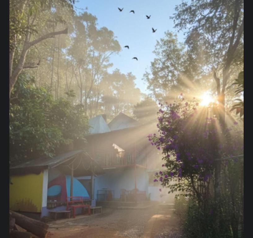 a house with the sun shining through the trees at munnar Green portico Cottage MuNnAr #MUNNAR #Parking # campfire # brackfast #best budget COTTAGE MUNNAR in Anachal