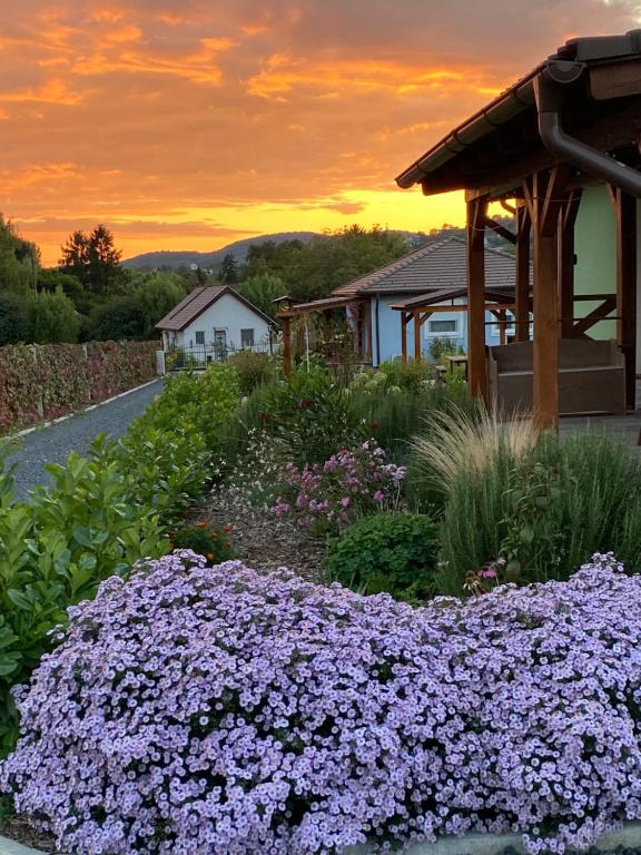 a garden with purple flowers in front of a house at Rizling Vendégház in Balatonrendes