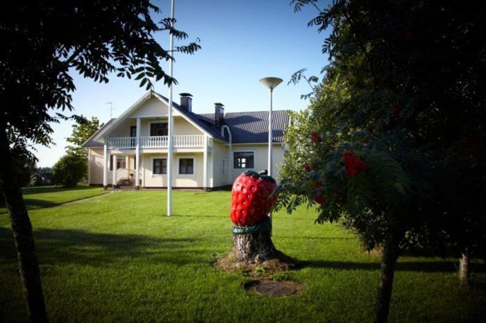 a house with a tree in the yard with a red object at Marjakartano Hussola in Karttula