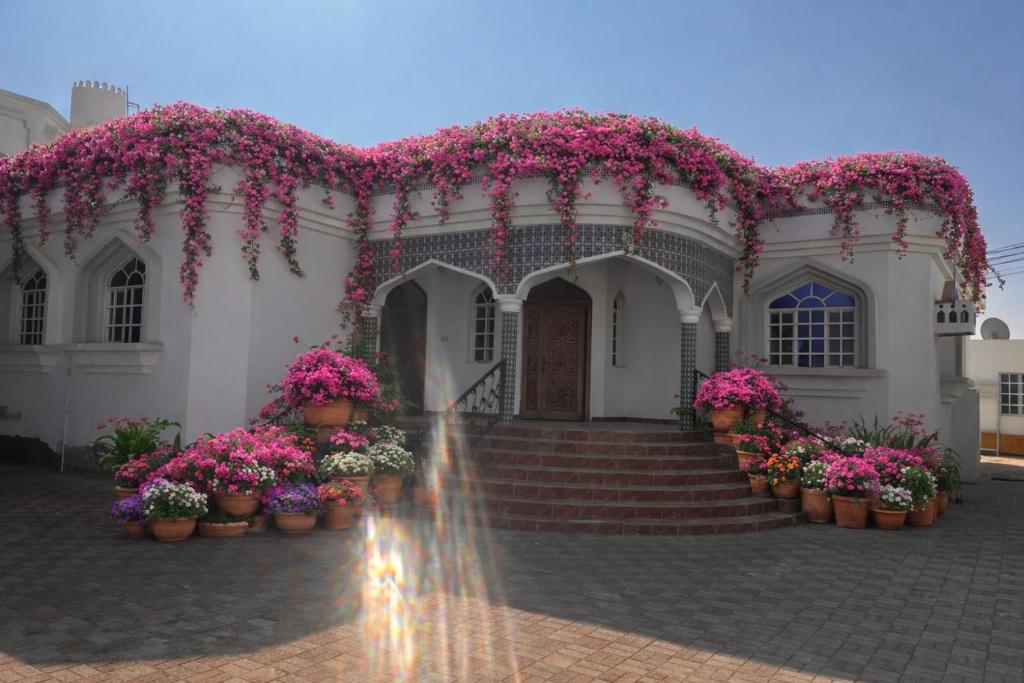 En have udenfor Amour Hostel