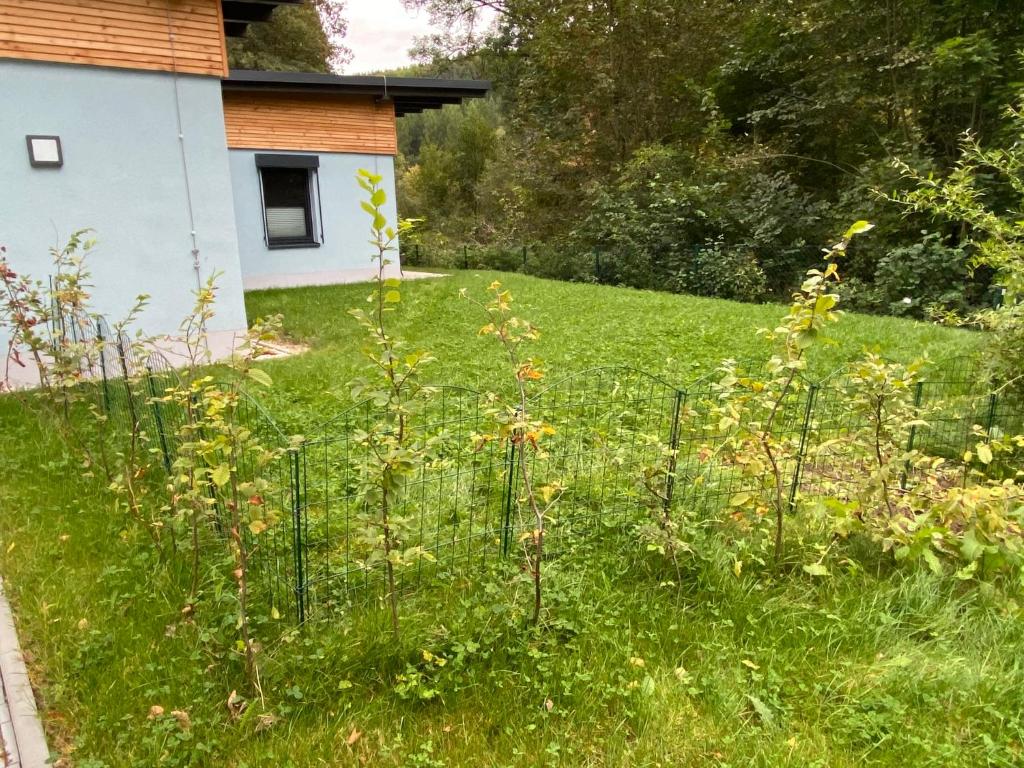 Villa Wilisch - Appartement De Luxe 2 Chambres Avec Vue Sur Jardin