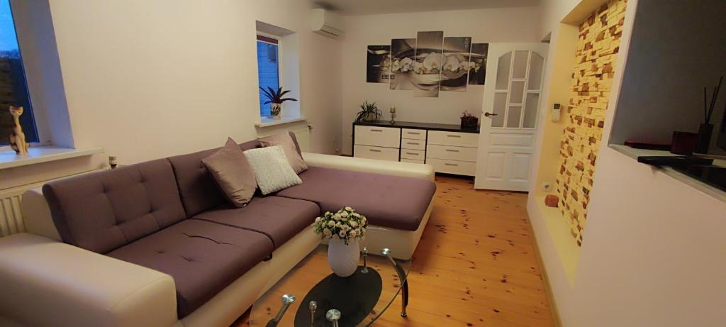 a living room with a brown couch and a kitchen at Pakeliui I -On the way I in Baltrušaičiai