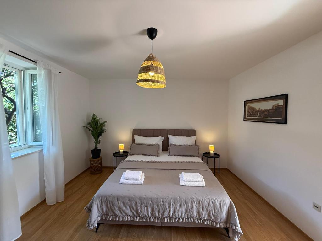 Apartments Dalmatino - 8