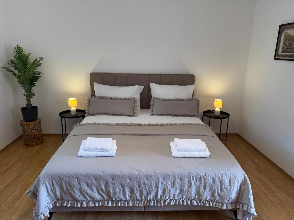 Apartments Dalmatino - 5