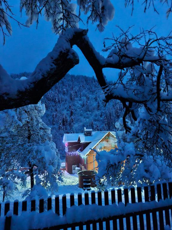 a house covered in snow at night with a fence at Pensiunea Cabana Viselor ,Apuseni in Vadu Moţilor