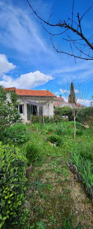 a yard with a house in the background at Mazet Chantilly, 3 étoiles Gîtes de France, Alès in Alès
