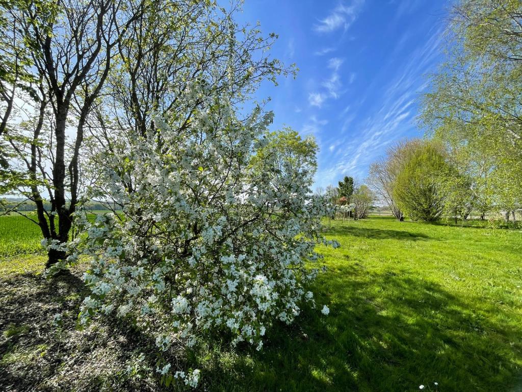 En have udenfor Domaine des Anes