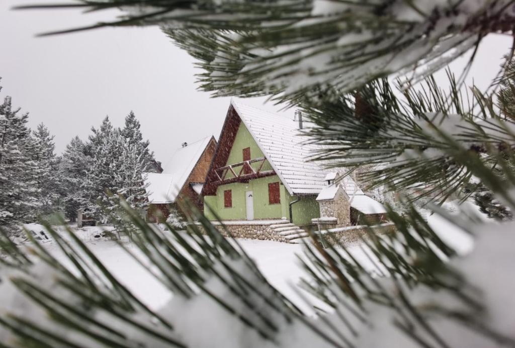 a house in the snow through a christmas tree at Vikendica PEPO in Blidinje