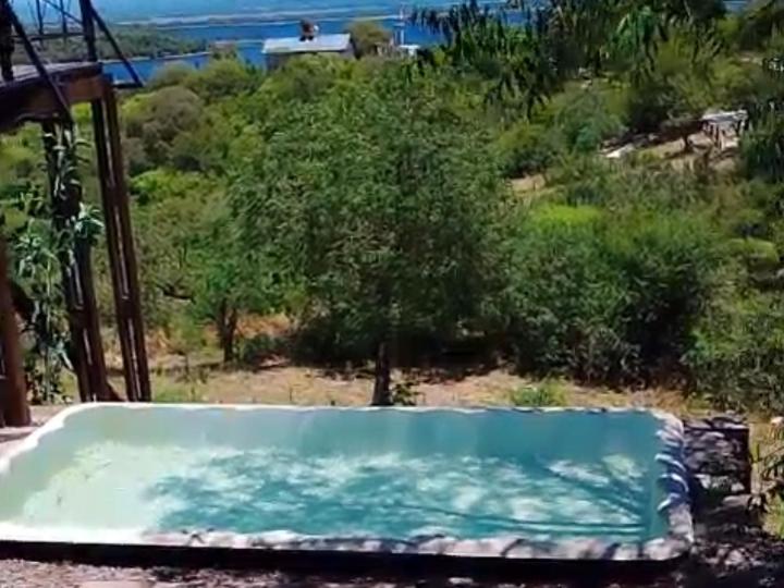 ein großer Swimmingpool mit Blick auf einen Baum in der Unterkunft Družina Embalse Calamuchita in Embalse
