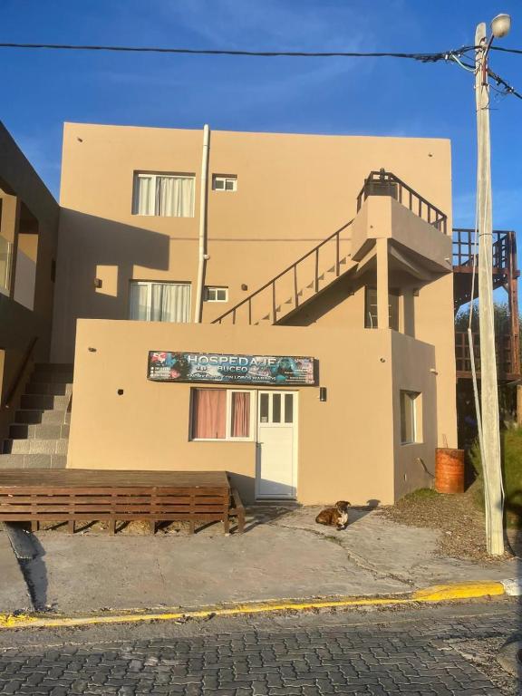 a dog sitting in front of a building at Alojamiento Goos in Puerto Pirámides