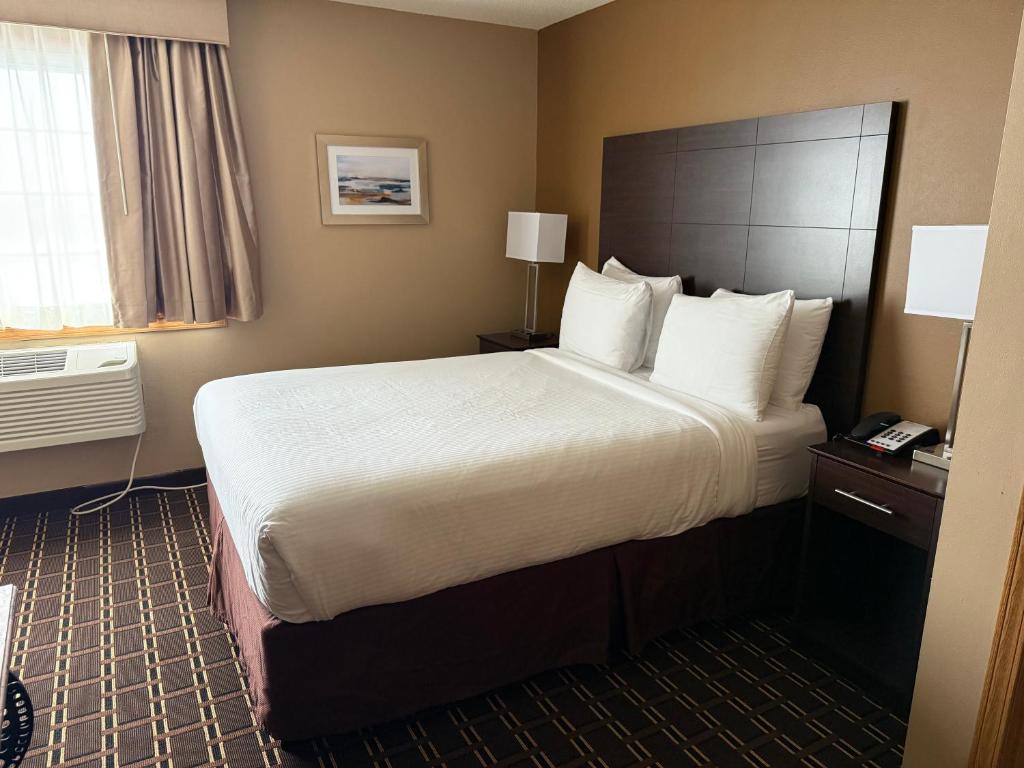 Best Western Dodgeville Inn & Suites - Suite Con Cama Grande Y Sofá Cama - No Fumadores