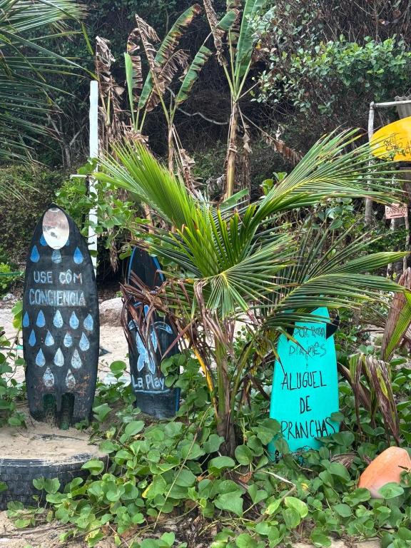a garden with a palm tree next to signs at Eco Camping Surf in Pipa