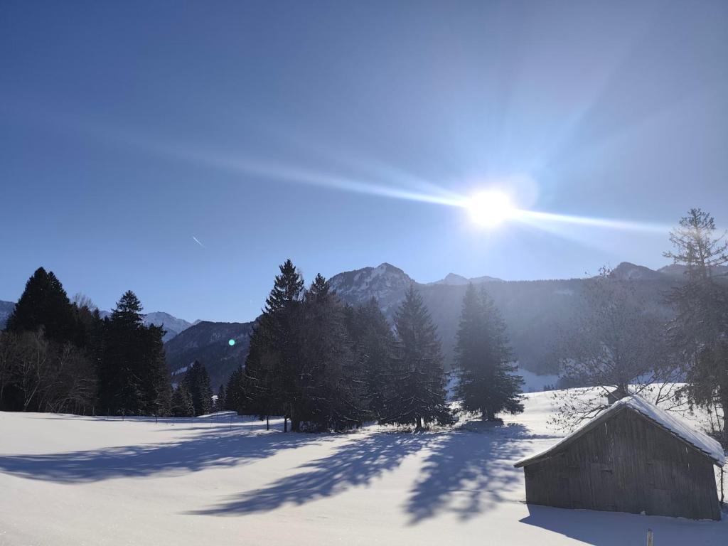 Naturlandskabet i nærheden af lejligheden