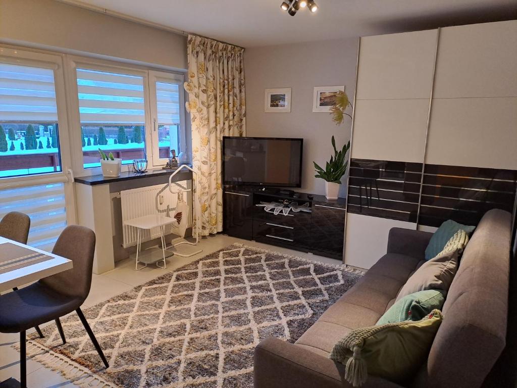 a living room with a couch and a tv at Silver Apartament Kowary in Kowary