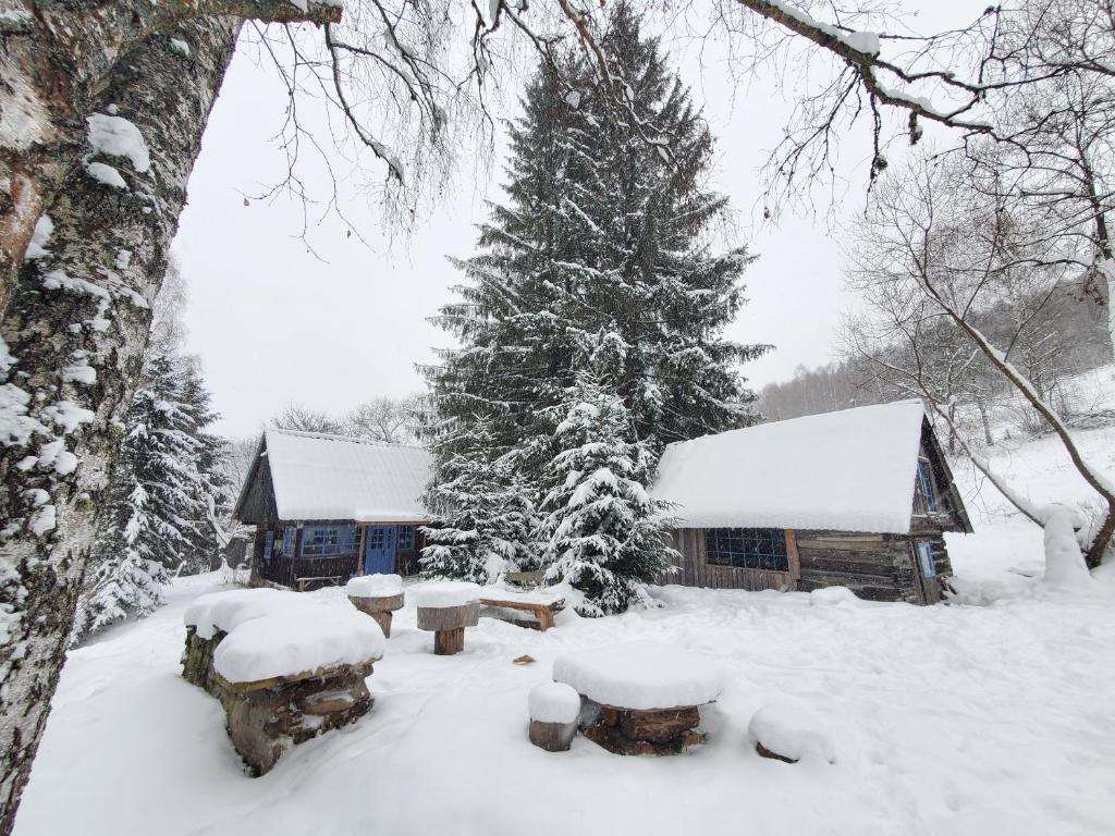 een hut met een met sneeuw bedekte boom ervoor bij Casuta dintre brazi in Râșca