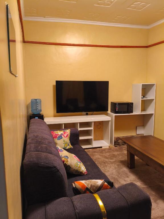 a living room with a couch and a flat screen tv at WMSAJ HOMEs in Narok