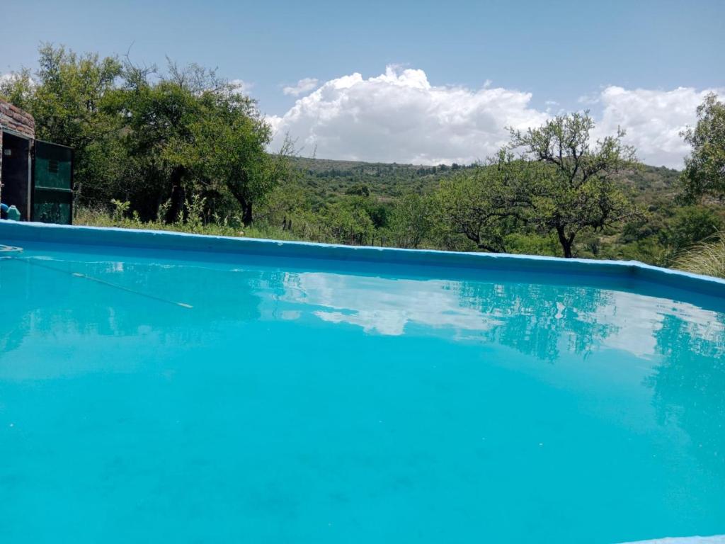 een groot blauw zwembad met uitzicht op de bomen bij La Pasionaria, casa de campo con pileta in Villa García