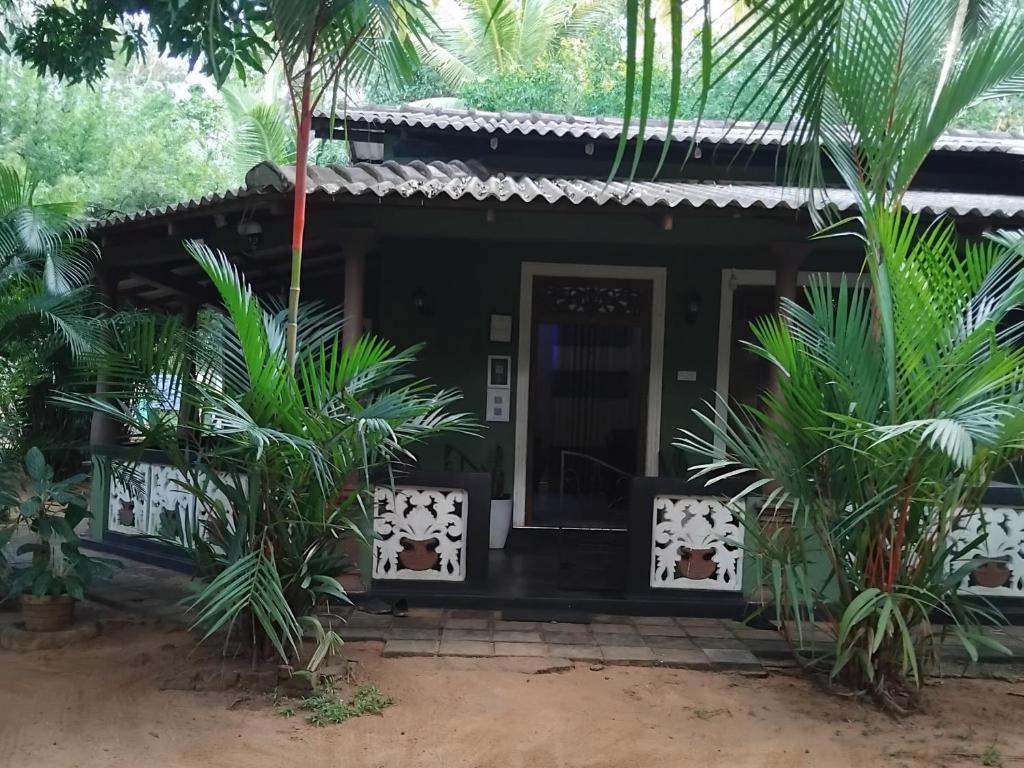 Green Bamboo House - 2