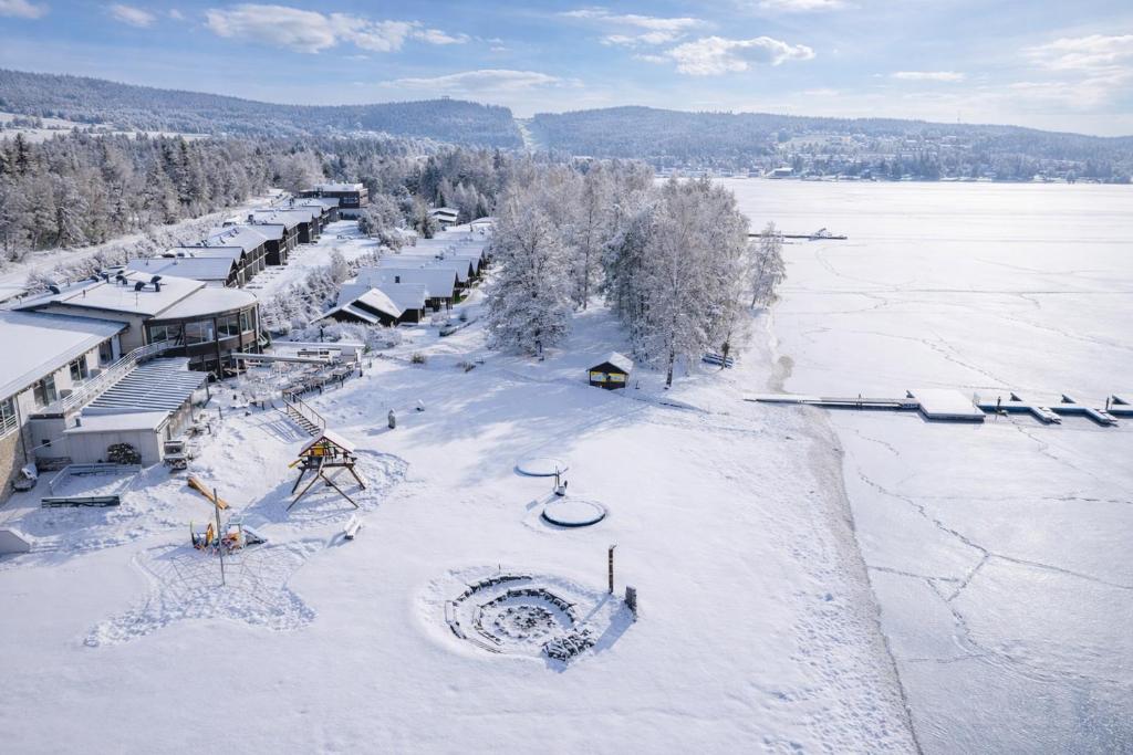 an aerial view of a ski resort in the snow at Amenity Hotel & Resort Lipno in Lipno nad Vltavou