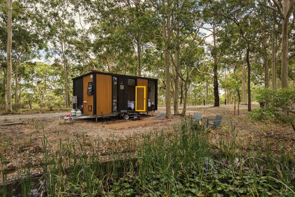 een klein huisje midden in een bos bij Inana Shanti by Tiny Away in Cooranbong