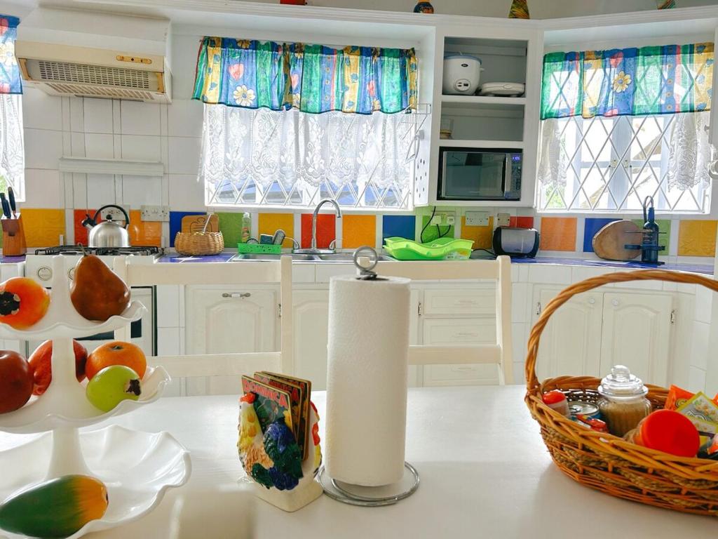 a kitchen with a roll of paper towels on a counter at Krystal Apartment in Grande Rivière