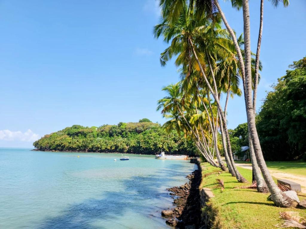een groep palmbomen aan de kust van een strand bij Le Milano in Kourou