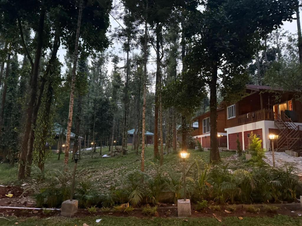a house in the middle of a forest at night at The Wild Deck - Chikkamagaluru in Chikmagalūr