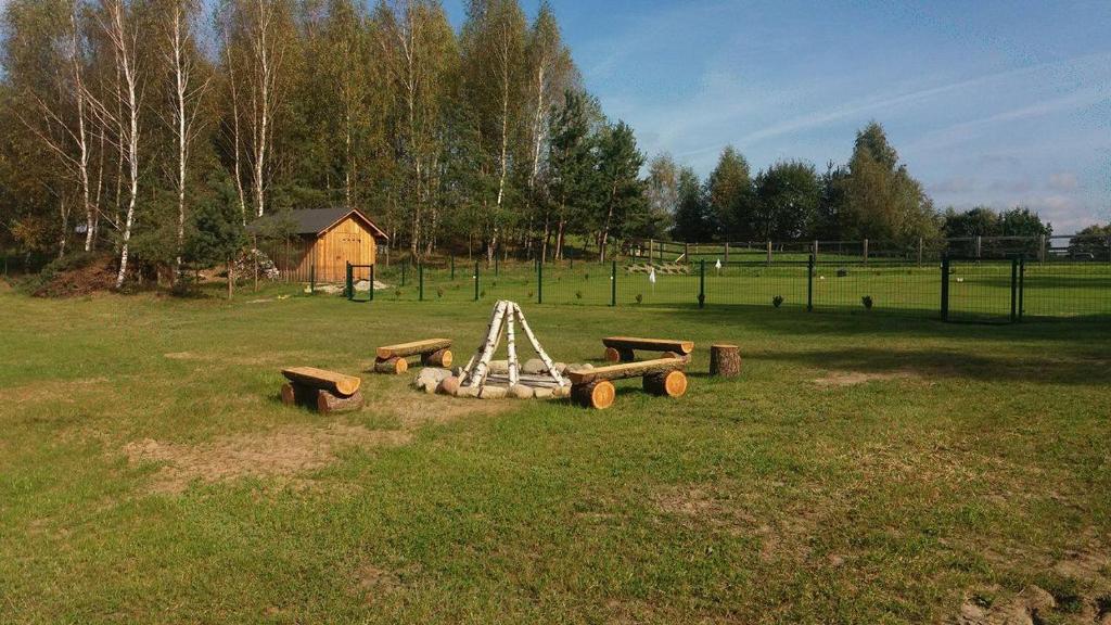 Grassy clearing with teepee-style fire pit, log bench seating, small wooden shed and birch trees.