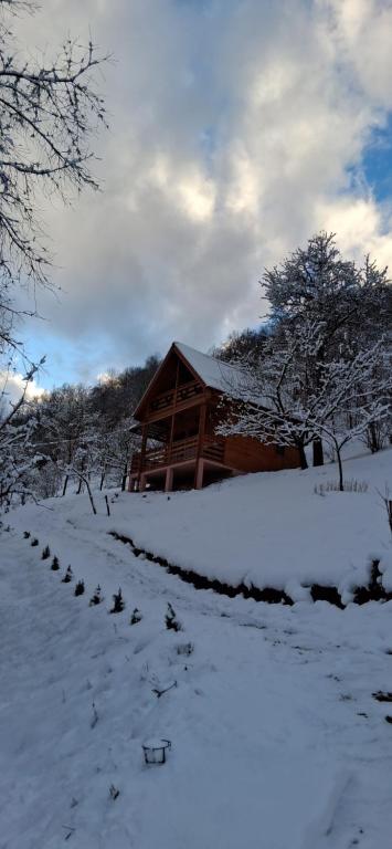 a group of birds walking in the snow in front of a cabin at Cabana Ulmului in Vişeu de Sus