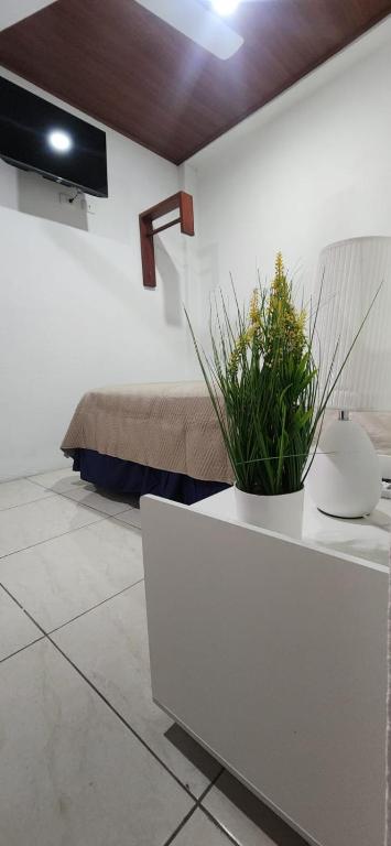 a room with a table with a plant on it at Hotel Posada Casa Real in León