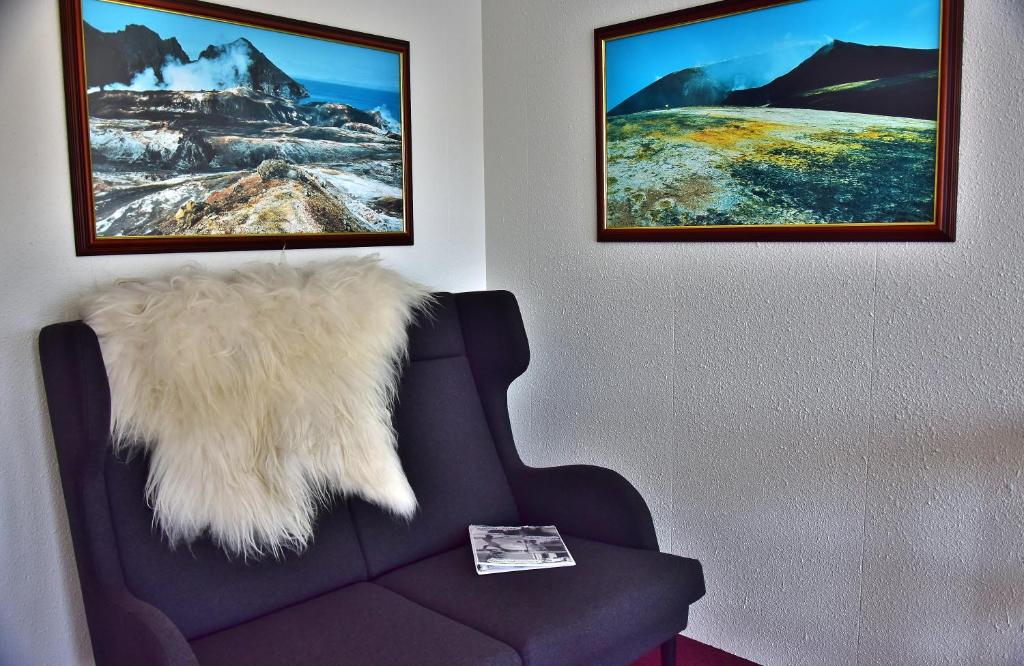 Posezení v ubytování Guesthouse Hamar