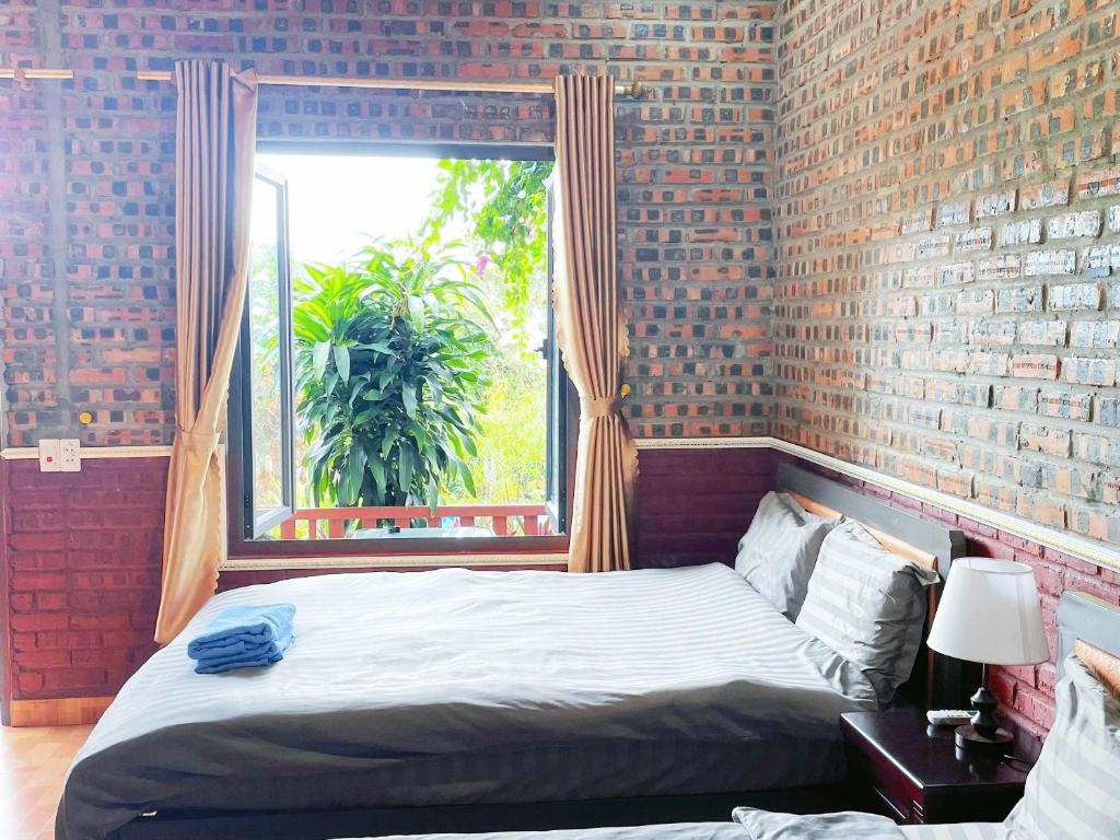 Cat Ba Spring Homestay - 1