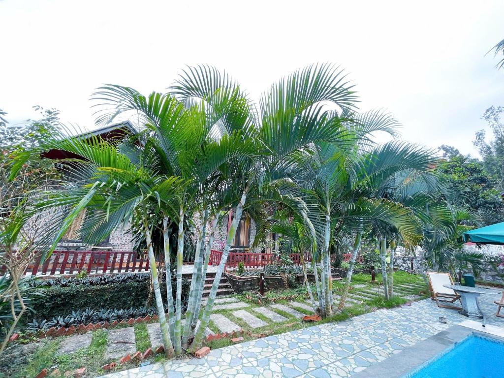 Cat Ba Spring Homestay - 3