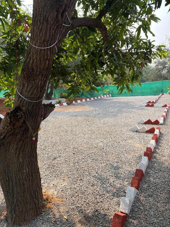 a tree and a red and white curb next to a tree at SS Aadhya Retreat in Payikāpuram