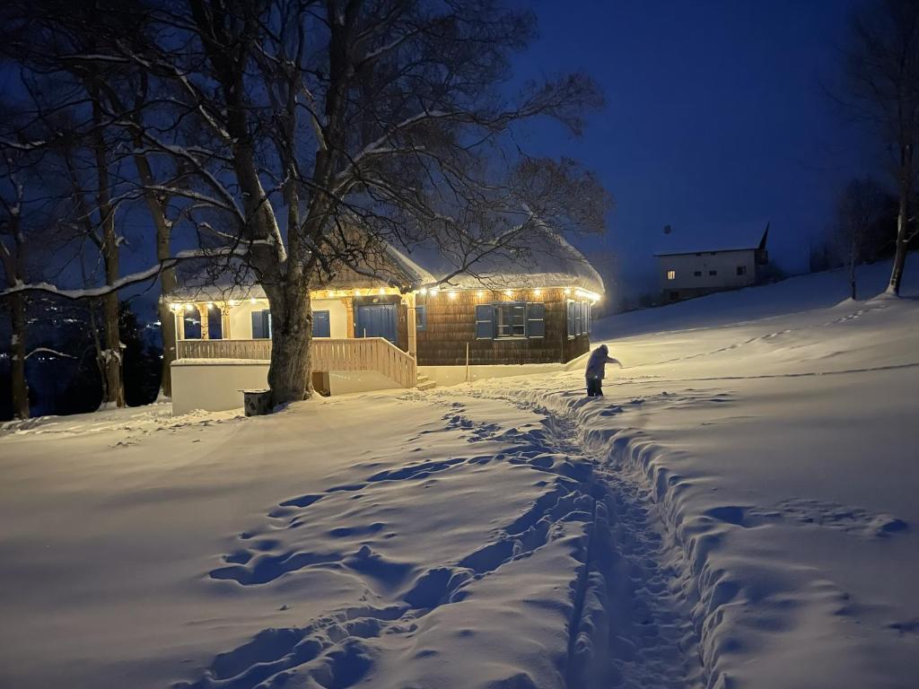 Casa cu copaci Romanian historical farmhouse om vinteren