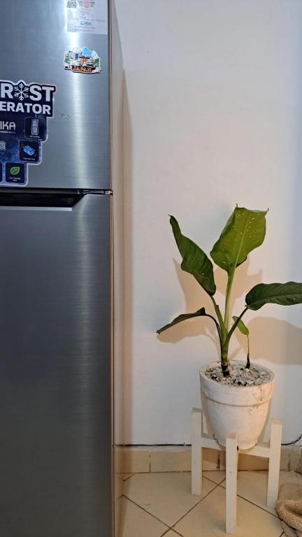 a plant in a pot sitting next to a refrigerator at Kwetuh in Kwale