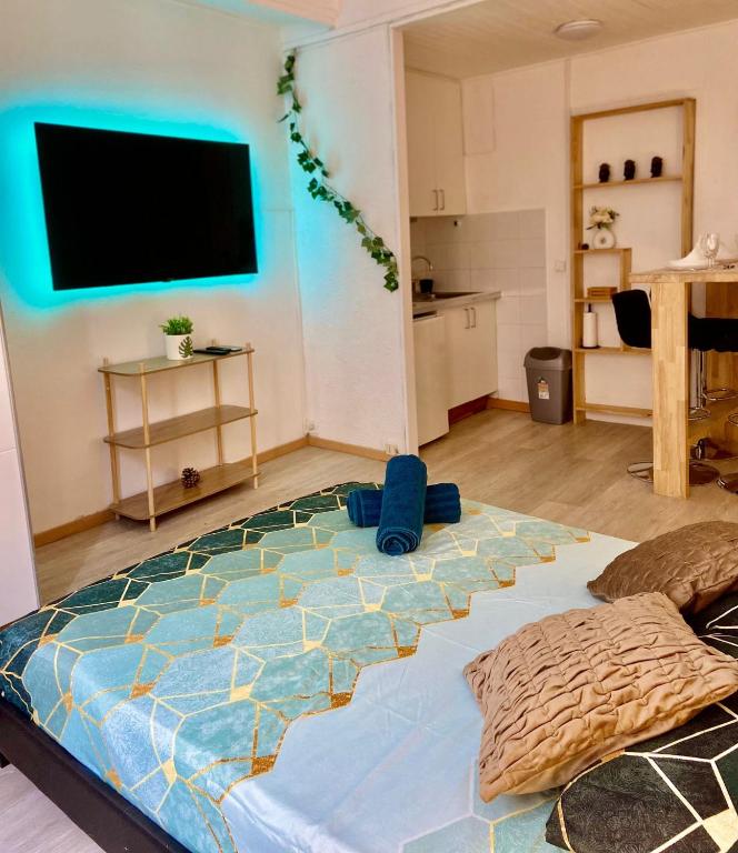 Studio Central Petit Michelet