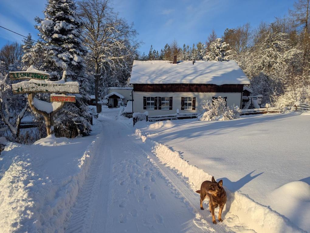 Leśniczówka Wysokie Kaczki om vinteren
