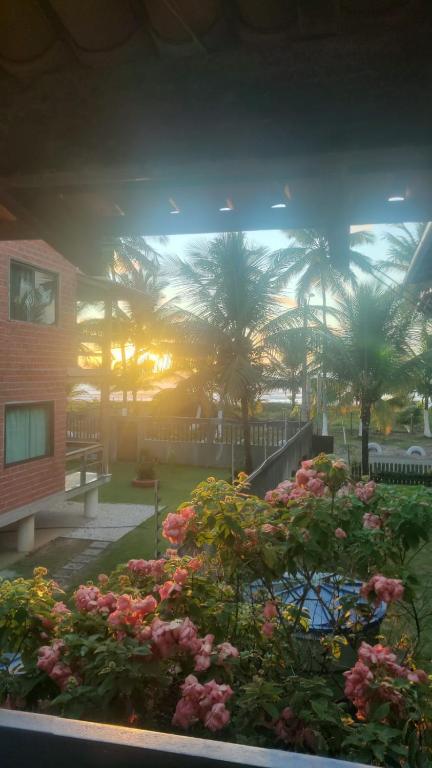 a view of a garden with pink flowers and palm trees at Edícula 2 quartos frente mar in Ilhéus