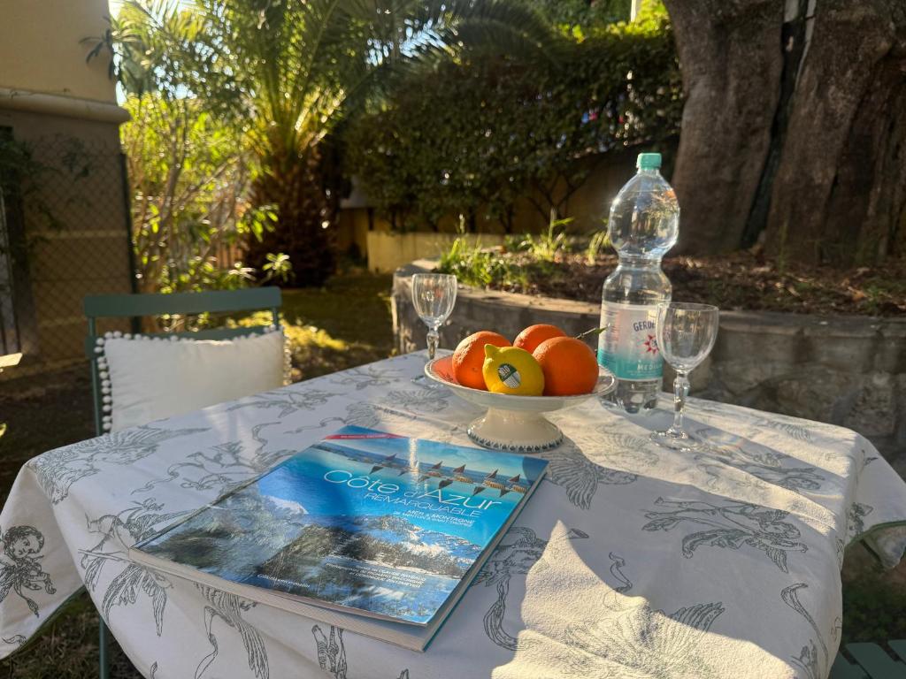 Villa Soraya Nice - Sunny appartment Cote d'Azur with large garden
