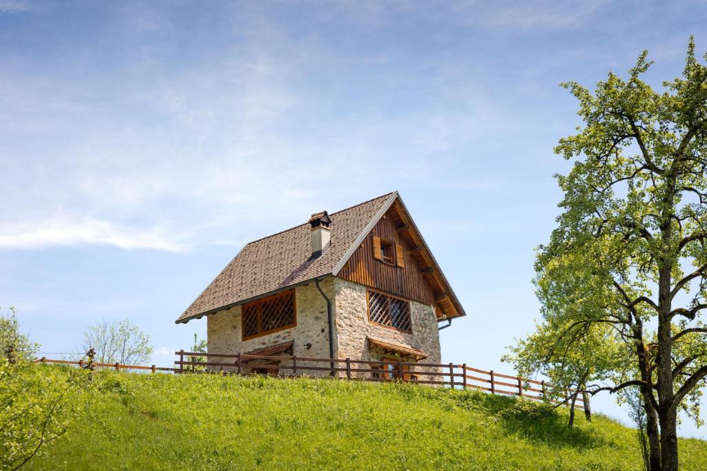 a house on top of a grassy hill at Albergo Diffuso Ravascletto in Ravascletto