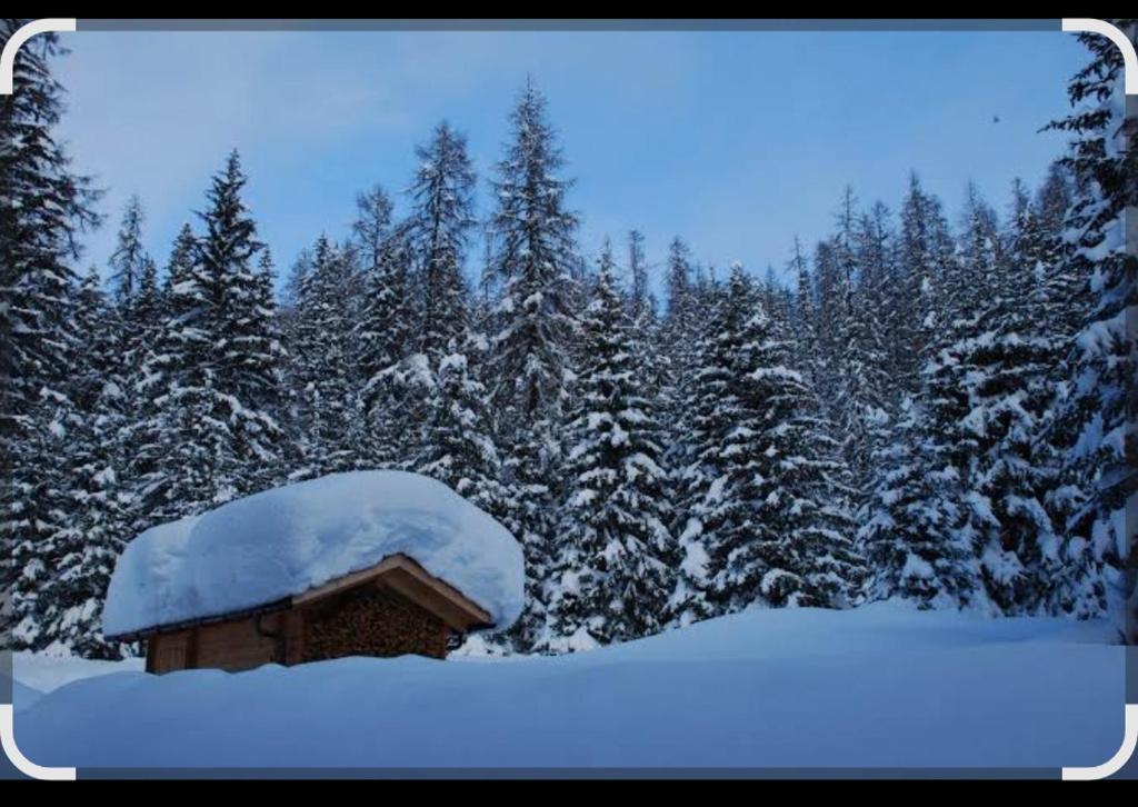 een met sneeuw bedekte hut voor een bos van bomen bij Chalet Adler in Grächen