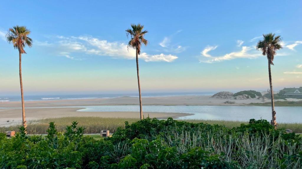 a group of palm trees and a body of water at A Slice of Heaven in Seafield