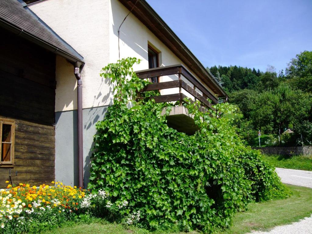 A garden outside Ferienwohnungen Bauernhof Schilcher