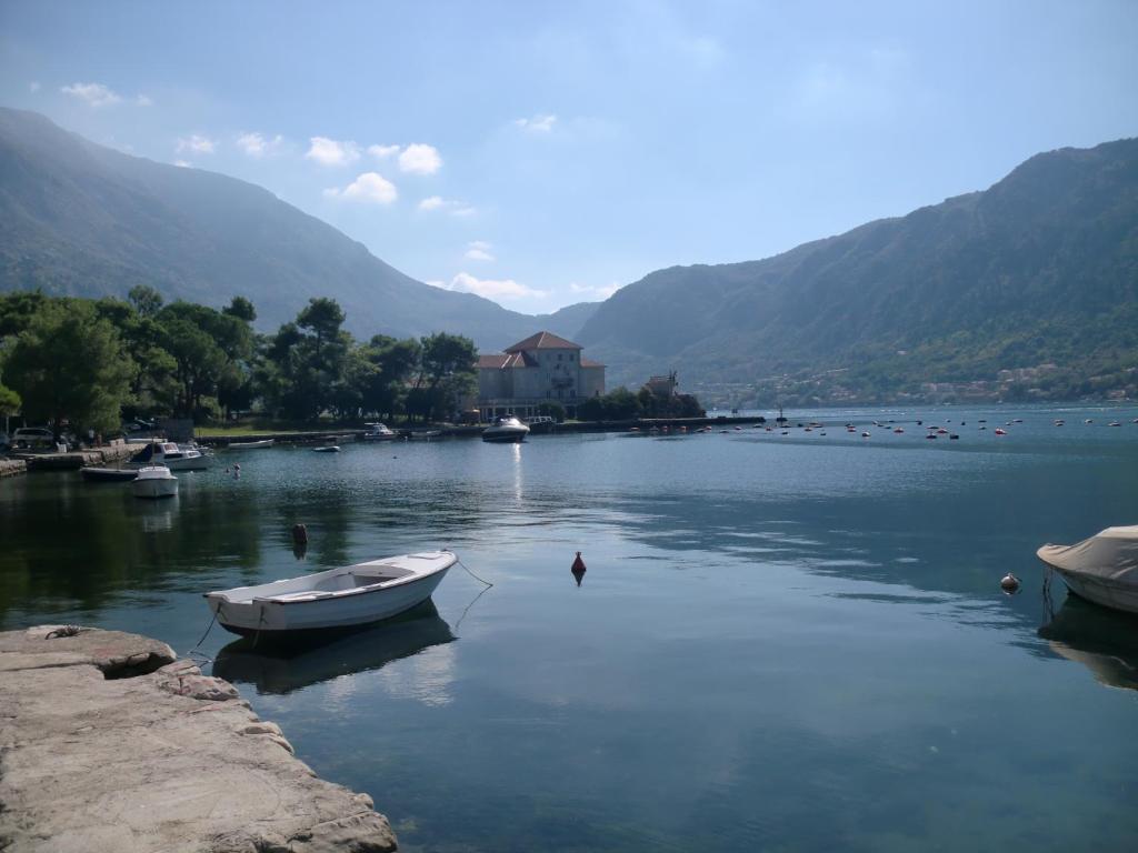 Apartments Bajkovic - 15