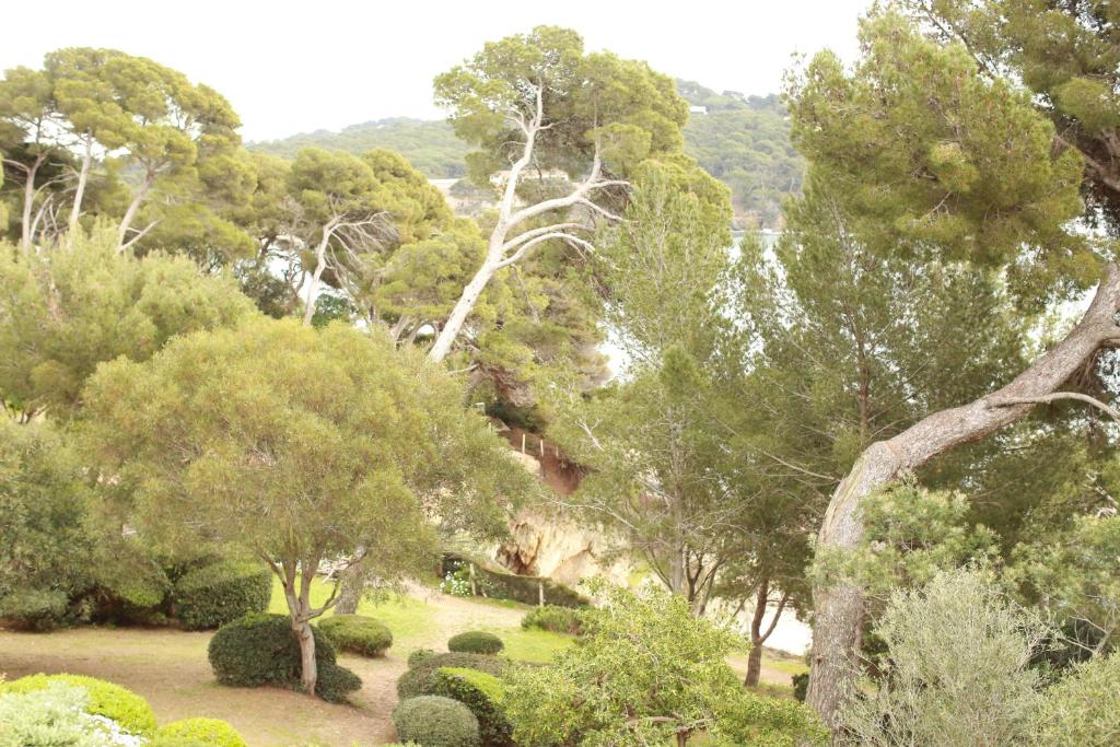 a garden with trees and bushes in a field at Résidence hôtelière Le Provençal à Giens - Bord de mer in Hyères