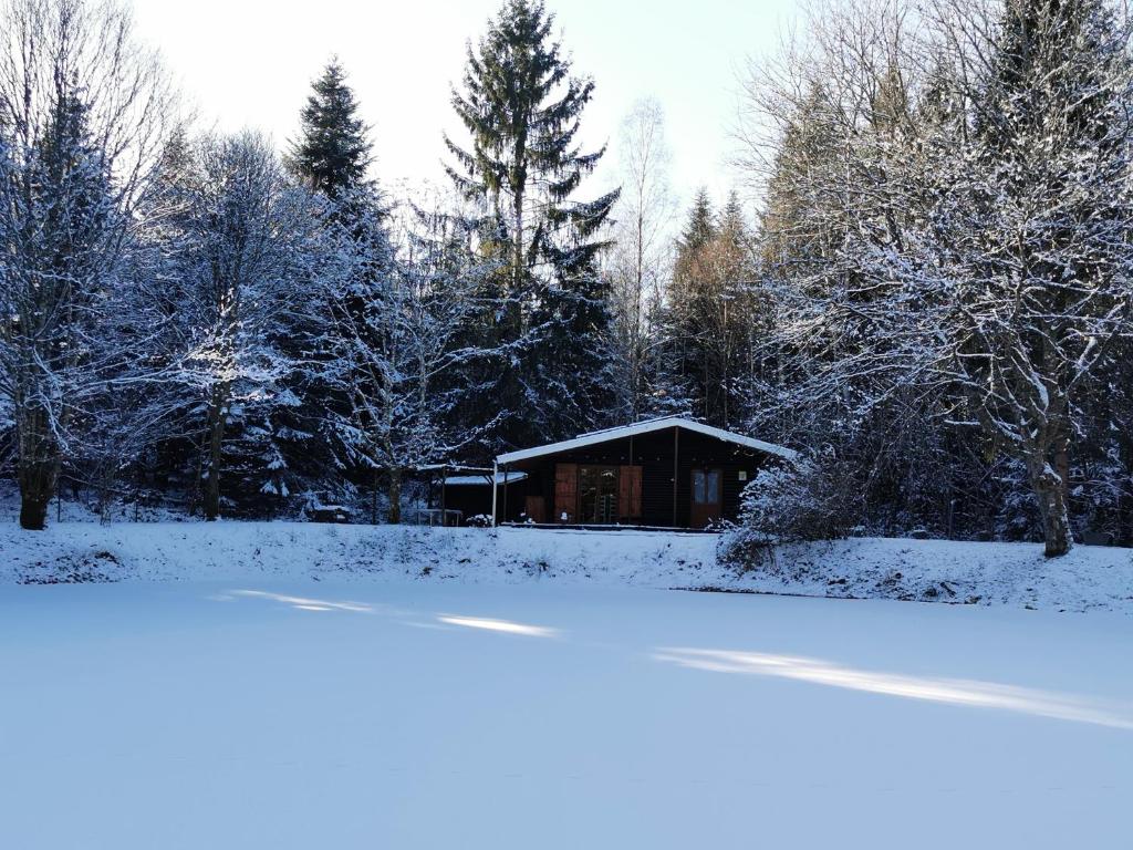 a cabin in the woods with snow on the ground at Chalet - gîte avec étang in Deneuvre